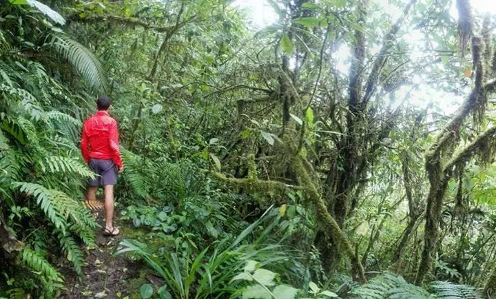 Runners in the Costa Brava