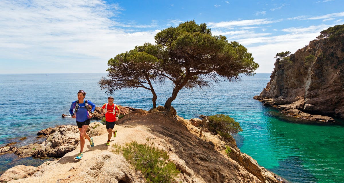 Runners in front of a tree
