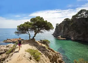 Running by a tree in front of the sea
