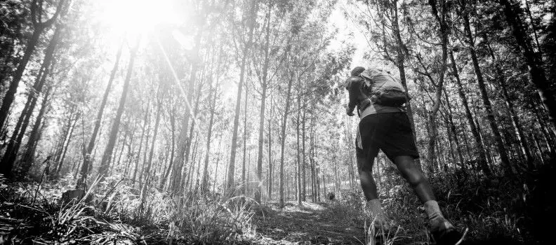 Runner into the woods